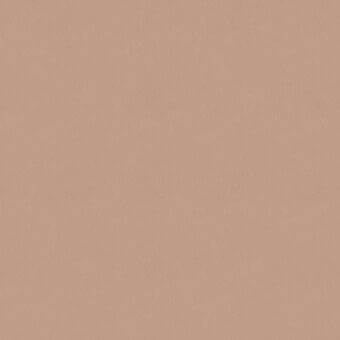 Giorgetti leather sample, fard color, uniform grain texture with brand text overlay, matte finish, subtle porous quality.