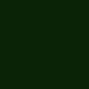 Dark green matte background with subtle text reading “giorgetti > leather > leather plus > giorgetti tx pelleplus 9327 verde inglese wr”.