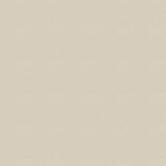 Muted beige surface, matte finish, uniform color, smooth texture, even lighting, subtle tonal variations, neutral background, calm aesthetic.