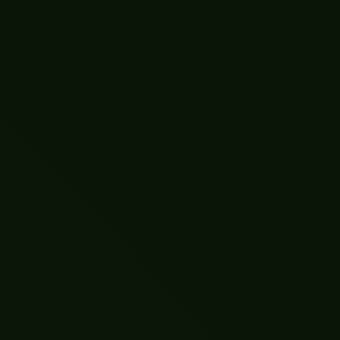 Glossy black lacquer sample, RAL9011, displays a high-gloss, seamless finish with a uniform, reflective surface and contemporary aesthetic.