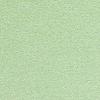 Muted green granular texture, consistent matte tone with subtle variations, closely woven fabric or sandblasted material, plain visual plane.