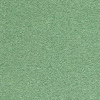 Sage green textured surface, granular weave, matte finish, uniform color, and diffuse lighting create a consistent, slightly rough appearance.