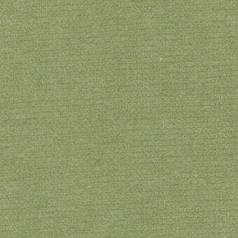 Sage green textured surface displaying a fine linear pattern, matte finish, and diffused lighting with no branding or text visible.
