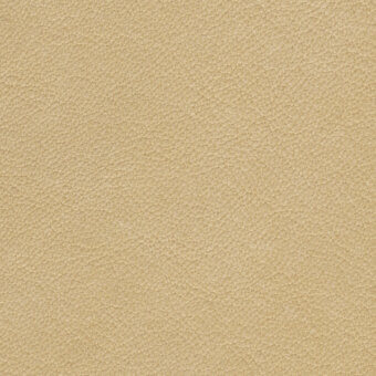 Beige leather texture with granular surface, fine irregular pattern, and matte finish, resembling unbleached linen or soft clay.