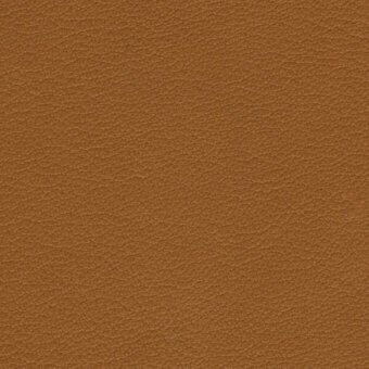 Amber leather texture with granular pattern, matte finish; Horm nuance v1 residential leather, Lanilina 4306 Ambra sample closeup.