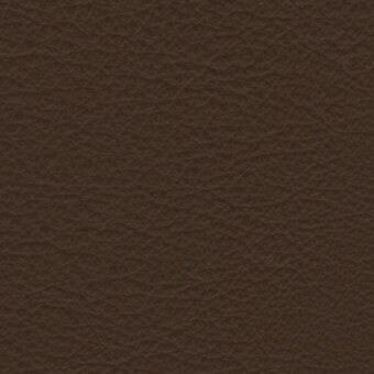 Dark brown leather texture with mottled surface, fine lines, and circular indentations; matte finish, natural grain, warm tone.