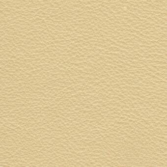 Light beige seamless texture with granular pattern, resembling distressed leather, warm neutral tone, matte finish, consistent density.