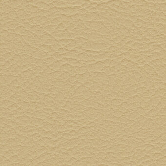 Beige textured surface displaying an irregular, matte pattern resembling distressed leather with subtle ridges and valleys, neutral tone.