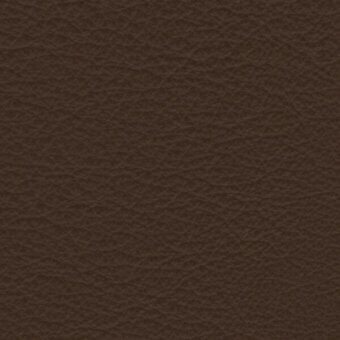 Dark brown leather texture with irregular grain, mottled pattern, and matte finish displaying a dense, slightly pebbled surface.