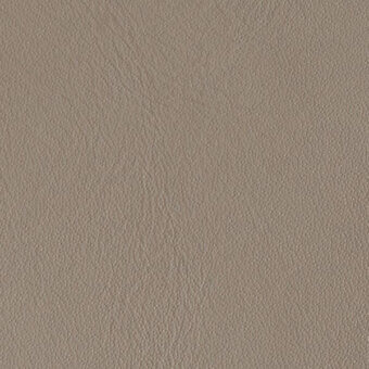 Taupe leather texture with fine grain, matte finish; sample labeled “horm > nuance v2 residential leather (major) > skin 207 camoscio”.