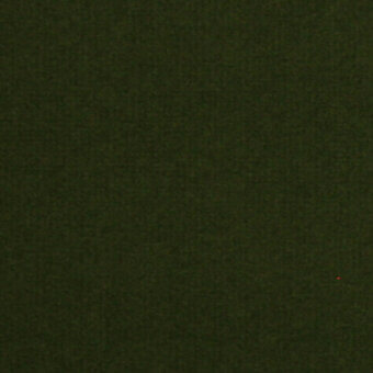 Dark green textured surface with subtle mottling, featuring a small red dot in the lower right corner and a muted, low-light tone.