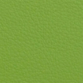Green SI 17