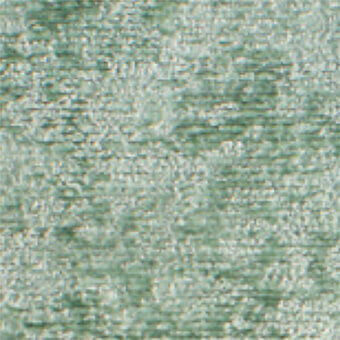 Swamp 56
