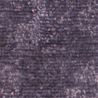Viola 23