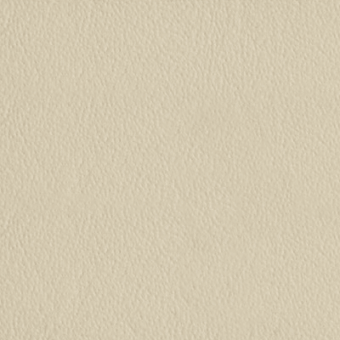 Beige seamless texture with granular pattern, resembling matte leather, warm neutral tones, consistent surface, and subtle color variations; "kobe col.5009".