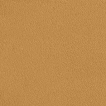 Light brown leather texture sample with granular surface, matte finish, consistent warm tone, ideal for upholstery applications.
