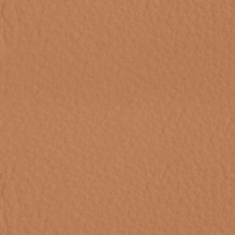 Earthy brown textured surface, granular material with rough finish, consistent tone, neutral organic backdrop, diffused studio lighting.