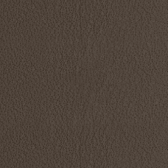 Brown granular texture, consistent medium tone, uniform surface with subtle shade variations and even lighting, resembling woven fabric.