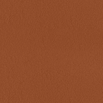 Warm brown granular texture with subtle tonal variations, presenting a matte, mottled reddish-brown surface throughout the composition.