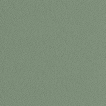 Desaturated green fabric swatch with granular texture, resembling woven linen; matte finish, labeled “kobe > col.5116” against a matching background.