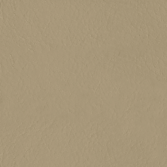 Neutral stucco texture with mottled surface and matte finish, displaying warm beige and taupe tones under diffused lighting.