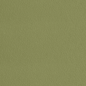 Olive-green textured surface with granular weave, even lighting, and consistent tone throughout the frame; studio shot of material.