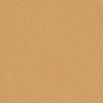 Warm tan seamless texture with a granular surface, displaying subtle indentations and tonal variations for a matte, slightly distressed appearance.