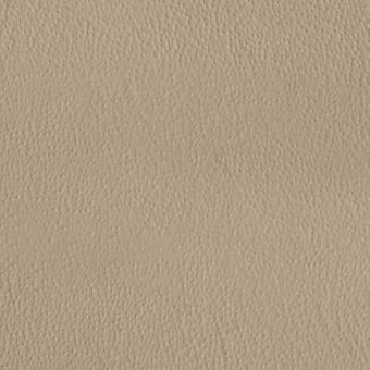 Beige textured surface with granular stucco finish, displaying subtle shading and a matte, uneven composition under diffuse lighting.