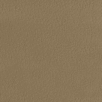 Mottled brown texture with granular pattern, matte finish, and consistent taupe coloring throughout the frame, suggesting natural material.