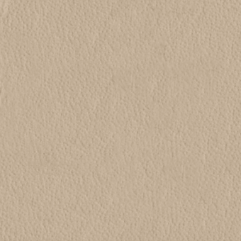Beige texture sample displaying a granular surface, resembling coated fabric with a matte finish and consistent, muted sandy tone.