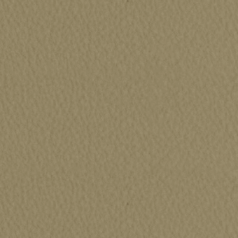 Olive-green textured surface with granular, uneven quality and diffuse lighting, exhibiting a consistent, slightly rough, earthy tone.
