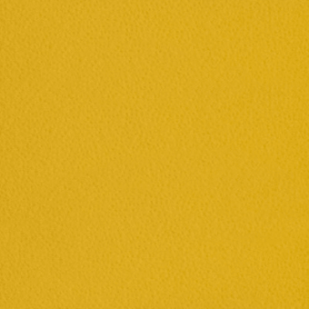 Mustard yellow textured surface with a repeating dot pattern and matte finish, illuminated by diffused, even lighting throughout the composition.