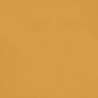 Mustard yellow textured surface with granular pattern, displaying a consistent tone and diffuse lighting; sample labeled "kobe > col.5308".