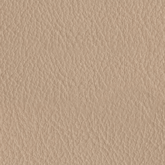Beige leather texture with irregular grain, featuring a dense network of fine lines and subtle elevation changes, presented in a matte finish.