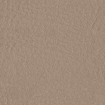 Granular taupe texture with subtle tonal variations, featuring a matte finish and irregular linear patterns across a consistent, slightly rough surface.