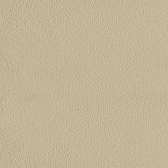 Light beige leather texture with a fine granular pattern and matte finish, displaying subtle tonal variations; sample labeled "kobe > col.6158".