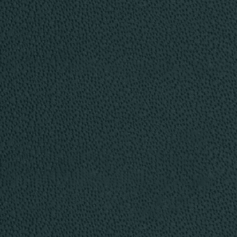 Dark teal textured surface with a dense, irregular pattern and matte finish, exhibiting a consistent, granular quality throughout the composition.