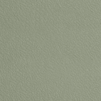 Grayish-green textured surface with granular, uneven composition and diffused lighting, resembling stucco or heavily textured paint.