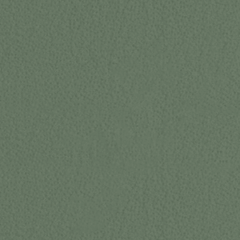 Muted green textured surface displays a fine, irregular grain pattern with a consistent matte finish, creating a uniform background sample.
