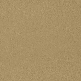 Textured plaster surface, warm tan color, random uneven pattern with matte finish; color code “kobe > col.6231” in lower right.