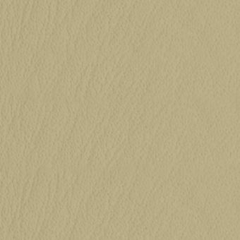 Beige textured surface displaying a fine, irregular grain pattern with mottled shading and a matte finish, resembling leather.