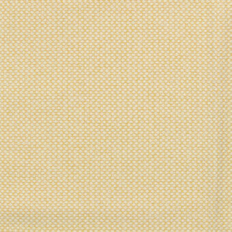 024-Bellini