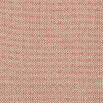 034-Gelato