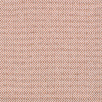 036-Macaron