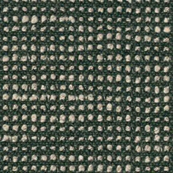 19106_140_fern