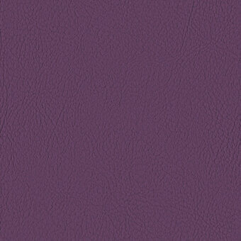 AMETHYST 107-7001