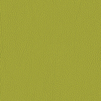 AVOCADO 107-2110