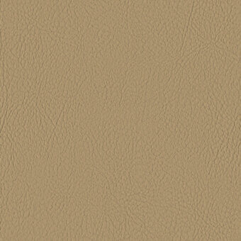 CHAMPAGNE 107-1001
