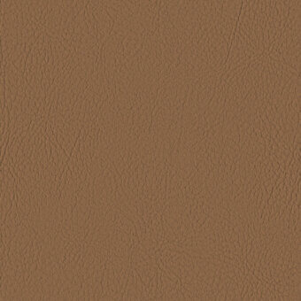 COGNAC 107-0002
