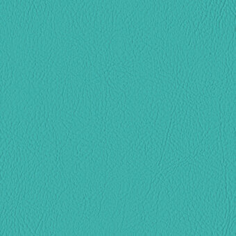 JADE 107-5056